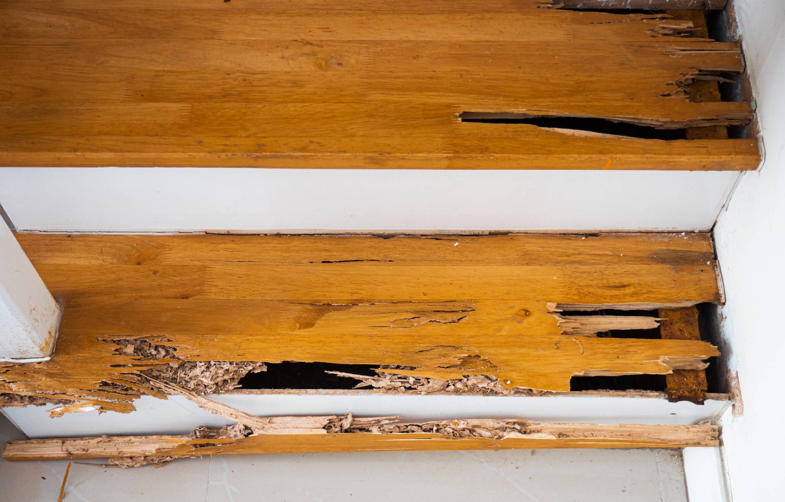 vecteezy_house-stairs-that-were-bitten-by-termites-the-wood-was_6667138